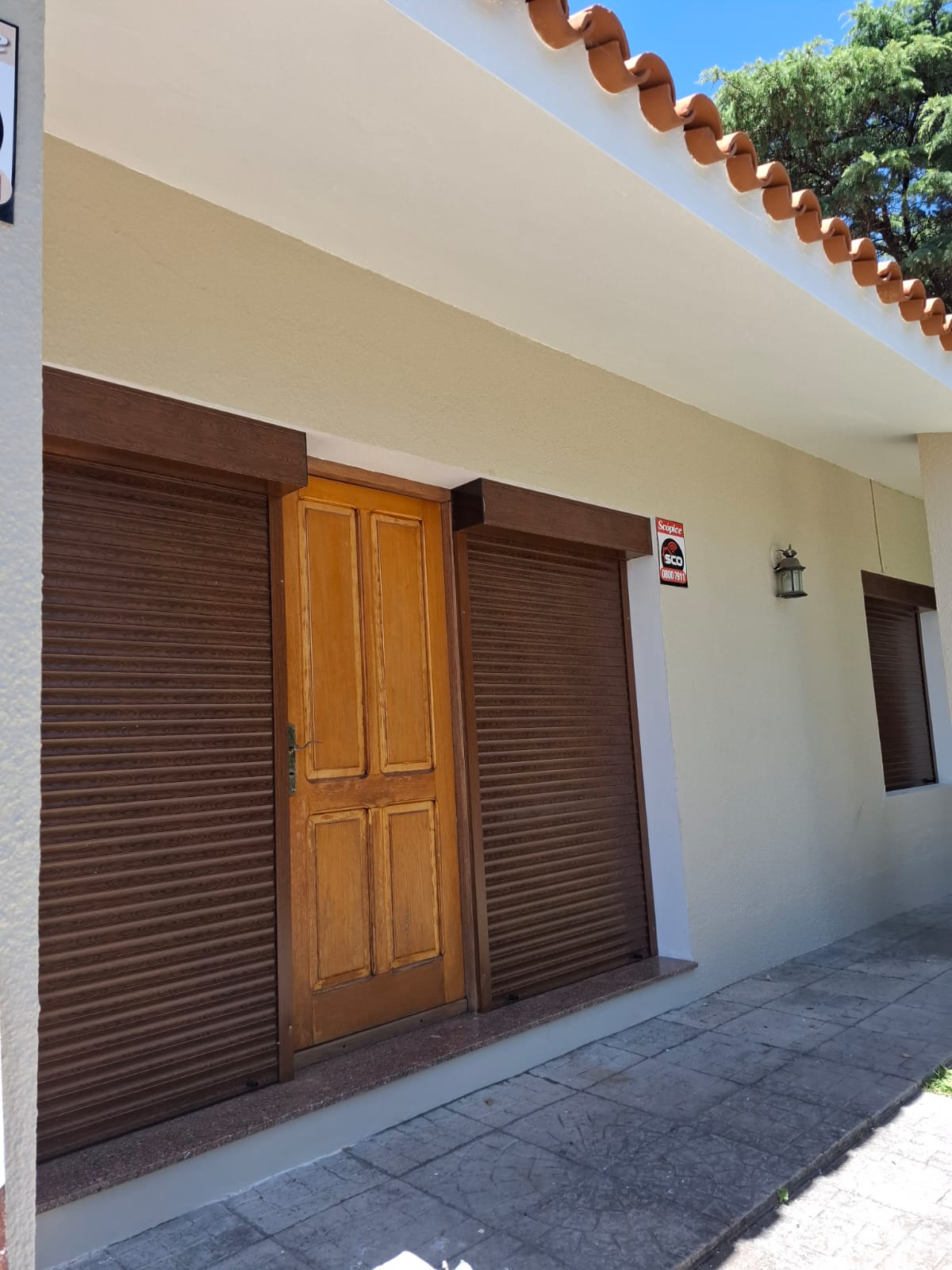 Cortinas de enrollar Marrón